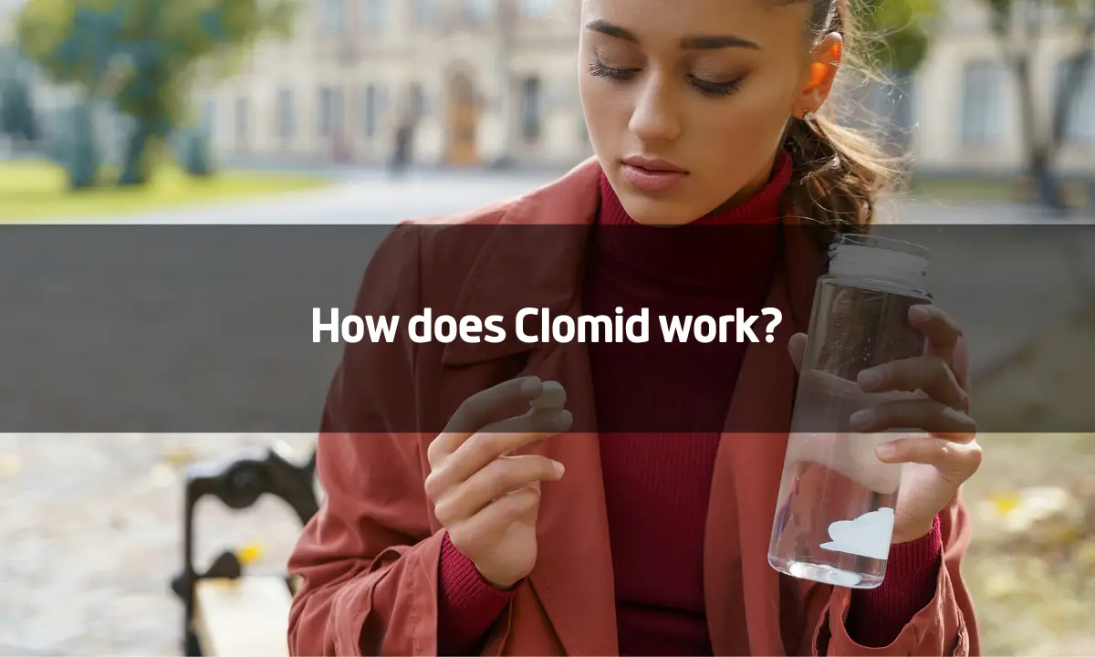 How does Clomid work?