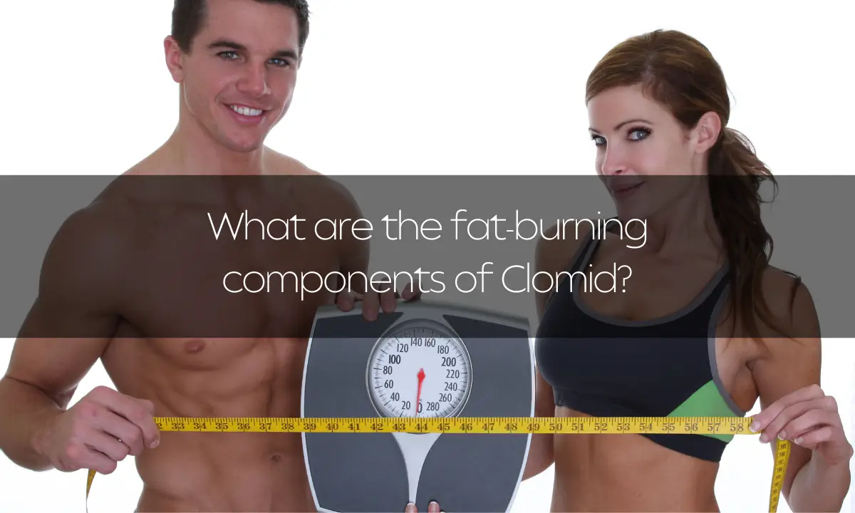 What are the fat-burning components of Clomid?